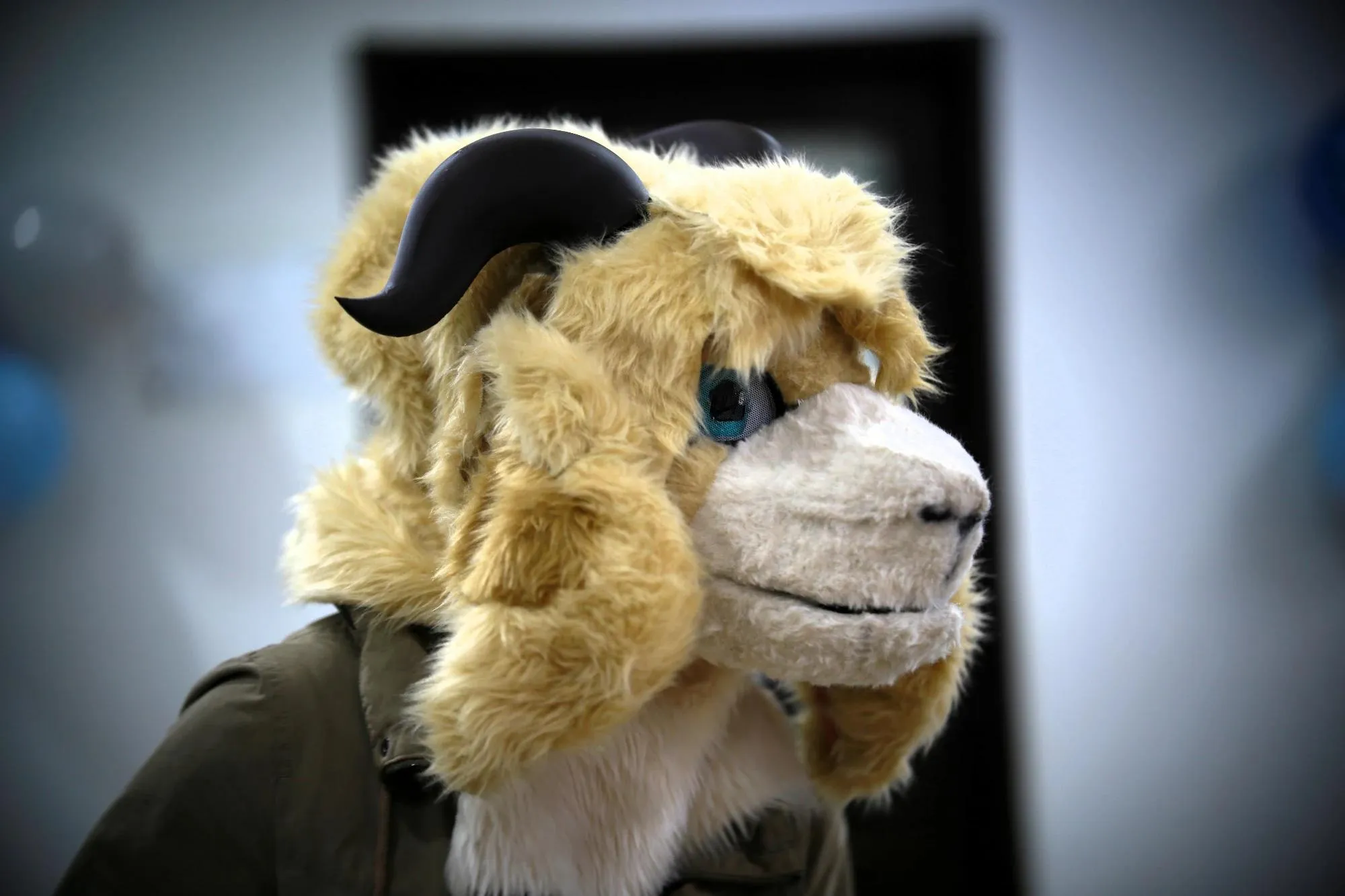 Southpaw Furry Weekend 2026 107