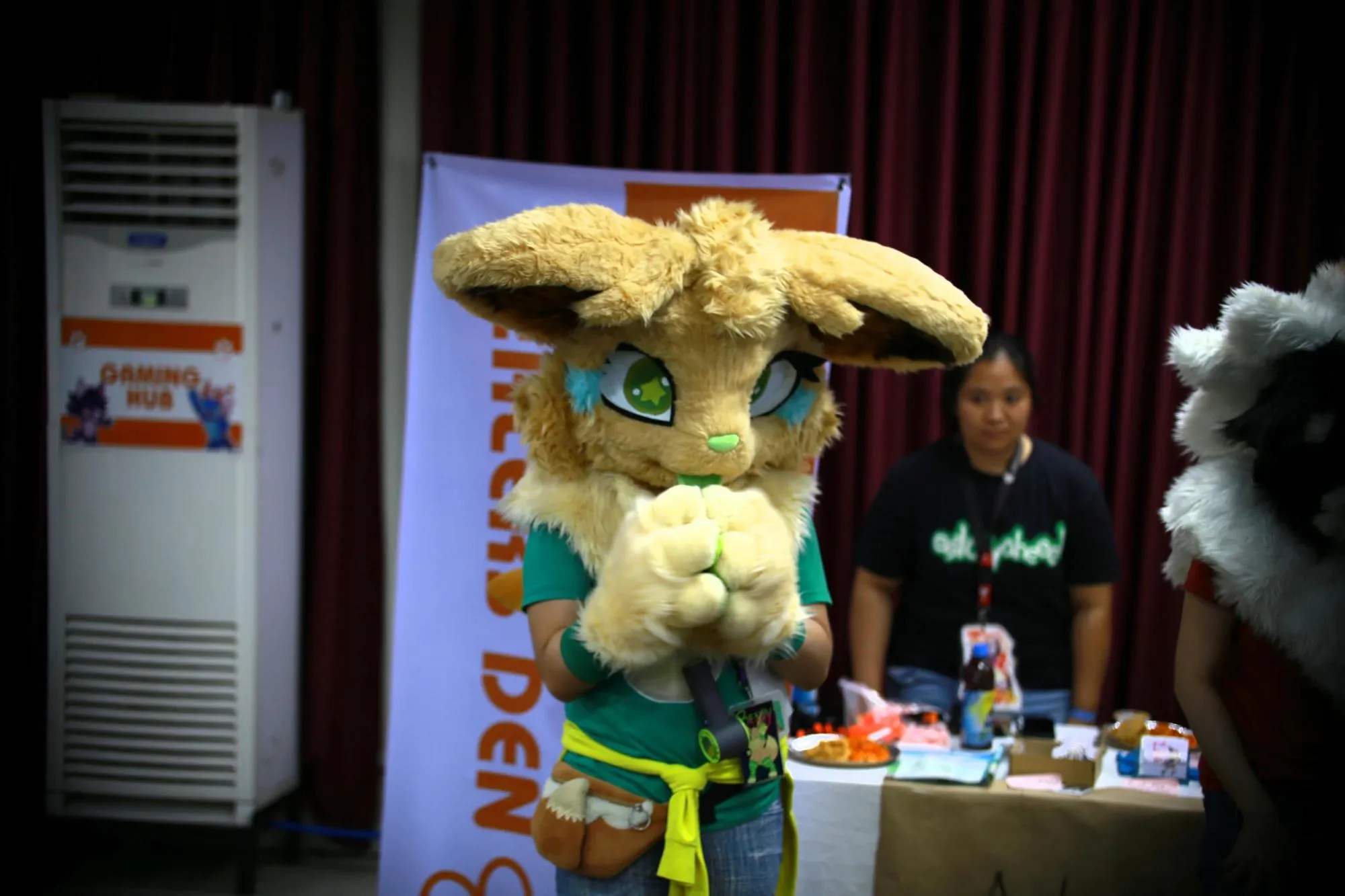 Southpaw Furry Weekend 2026 197