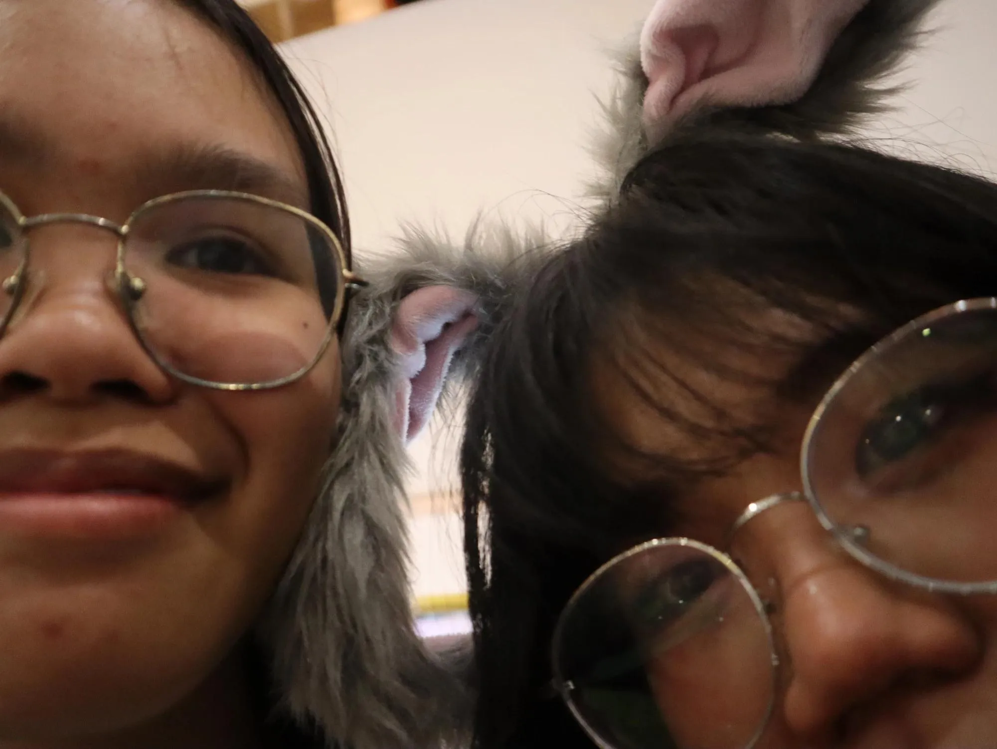 Heartbeat Furmeet: A Furry CSE 9