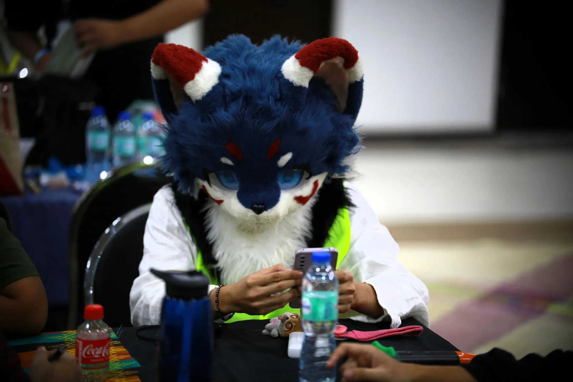 Southpaw Furry Weekend 2026 114