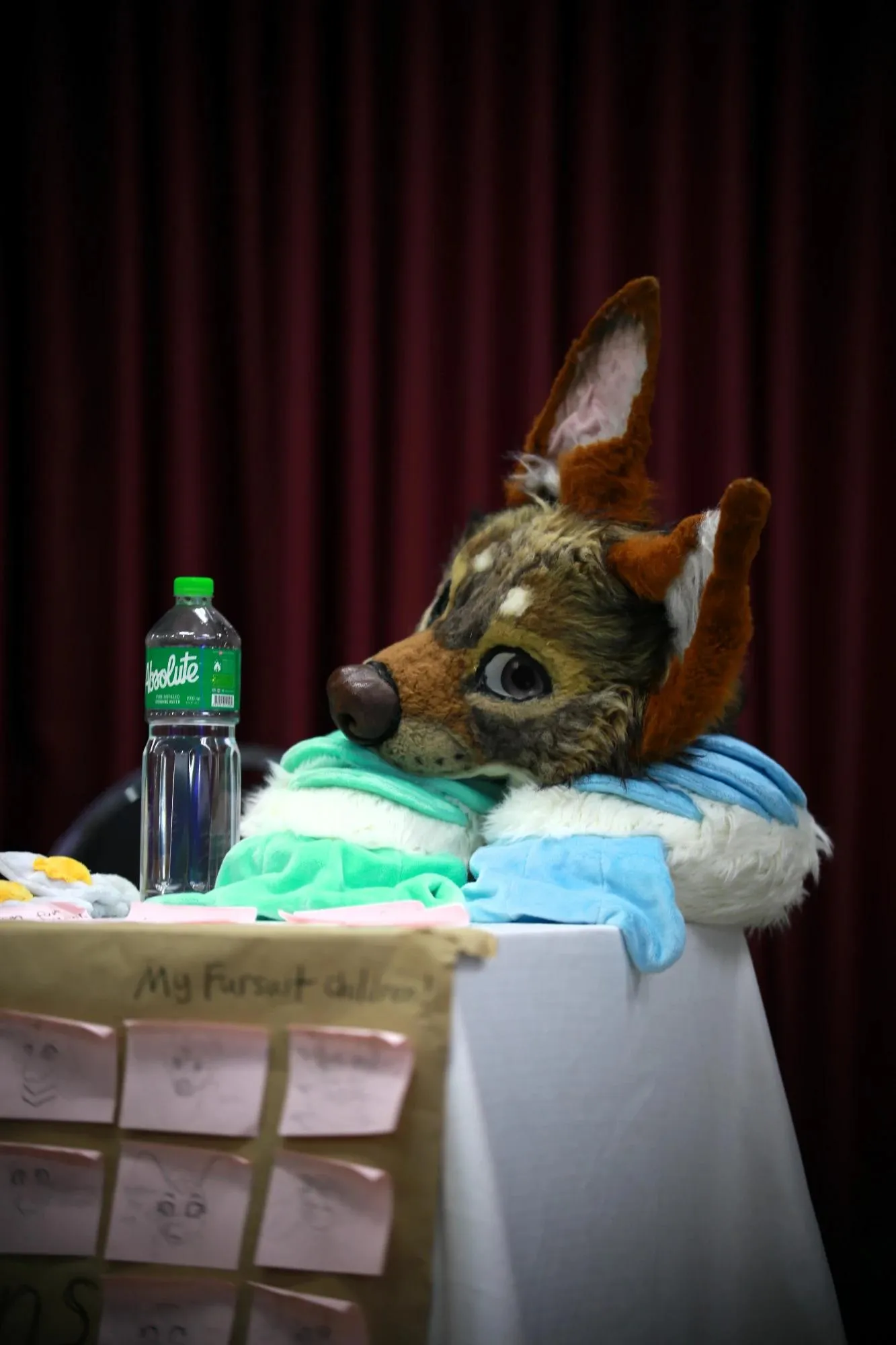 Southpaw Furry Weekend 2026 85