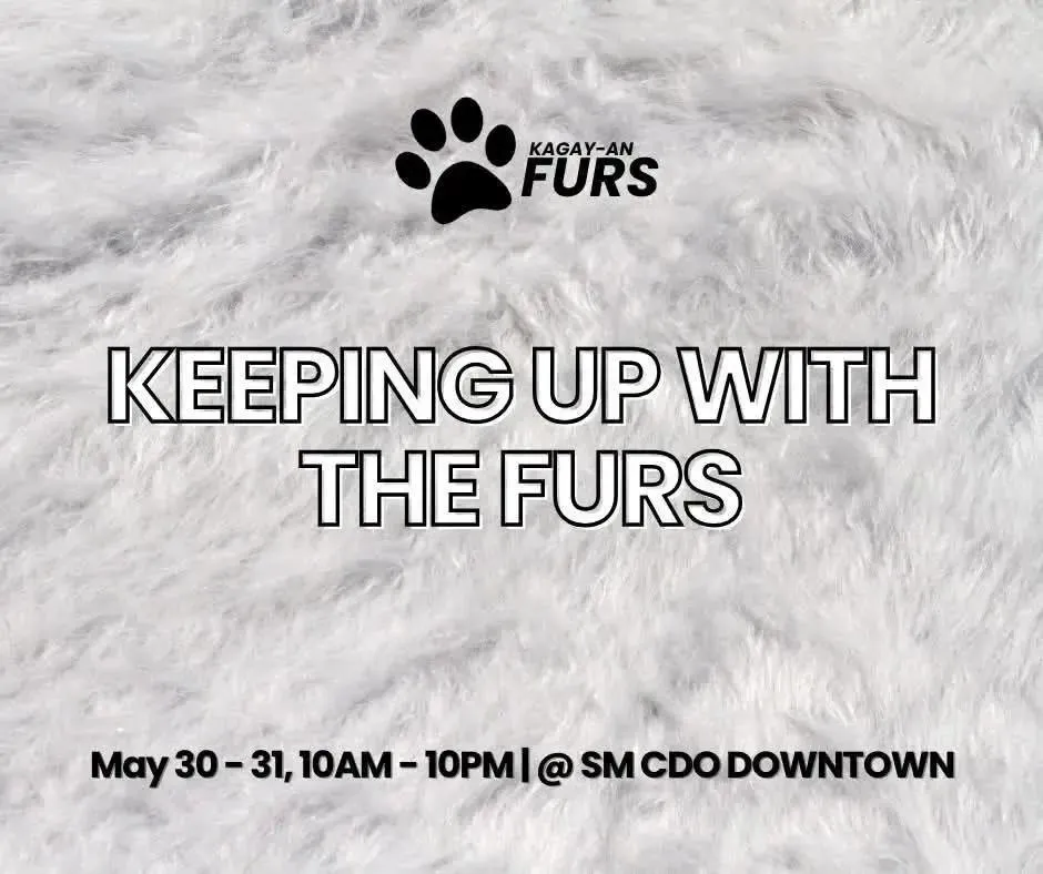 Keeping Up With The Furs