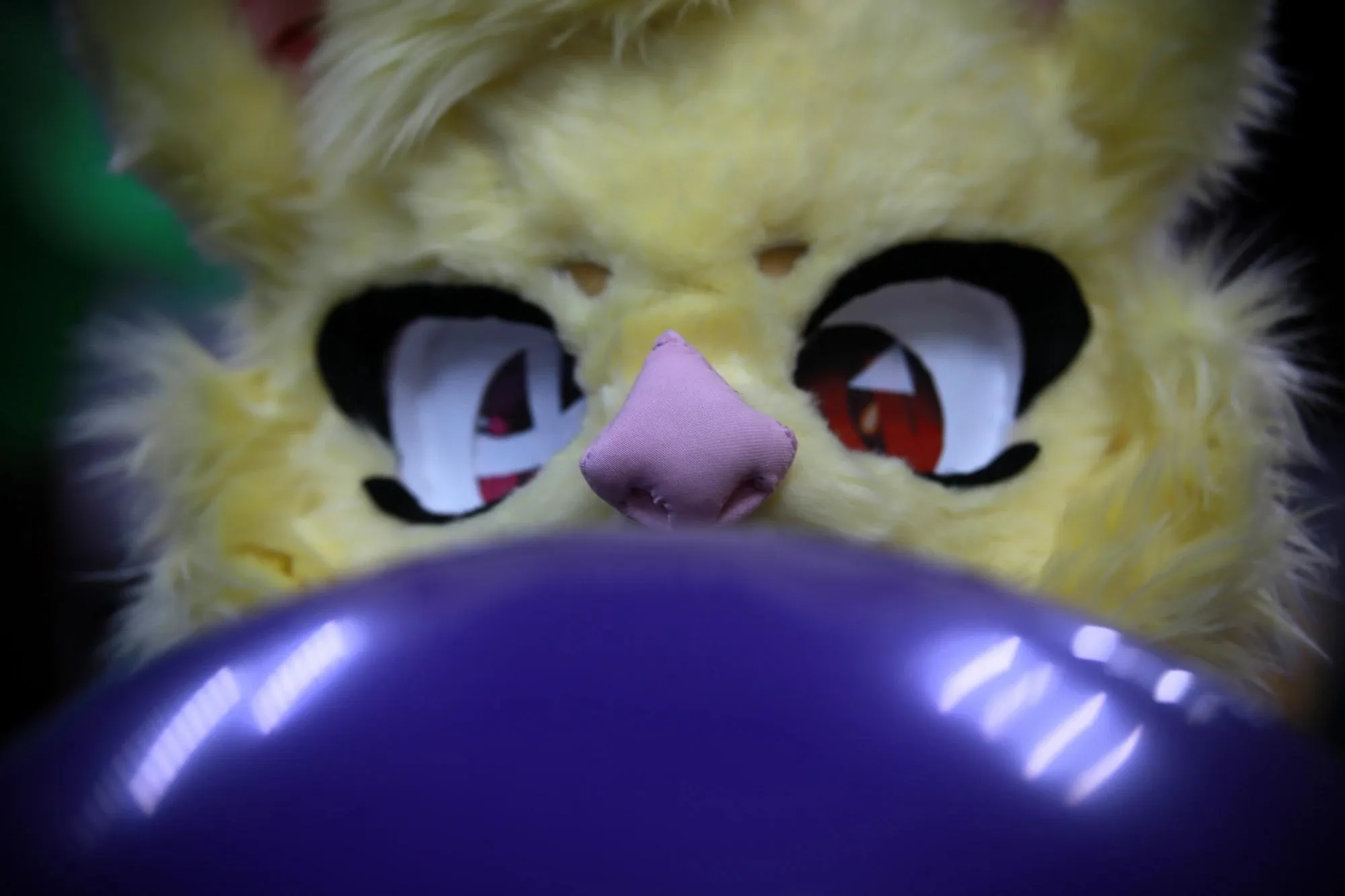 Southpaw Furry Weekend 2026 65