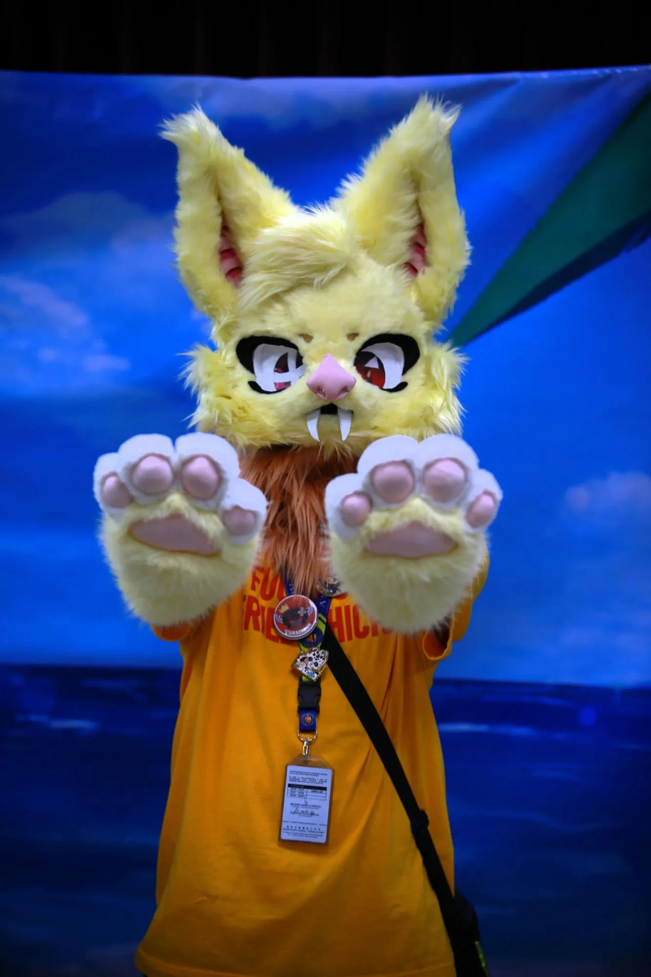 Southpaw Furry Weekend 2026 5