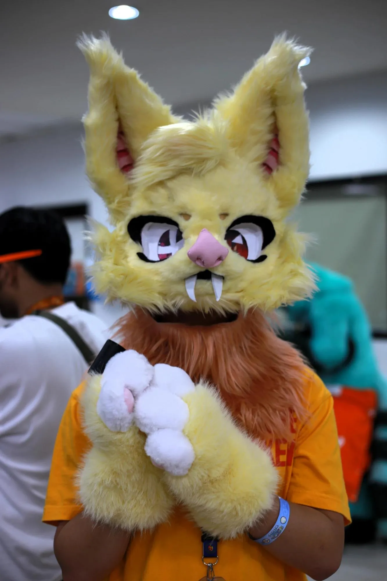 Southpaw Furry Weekend 2026 54