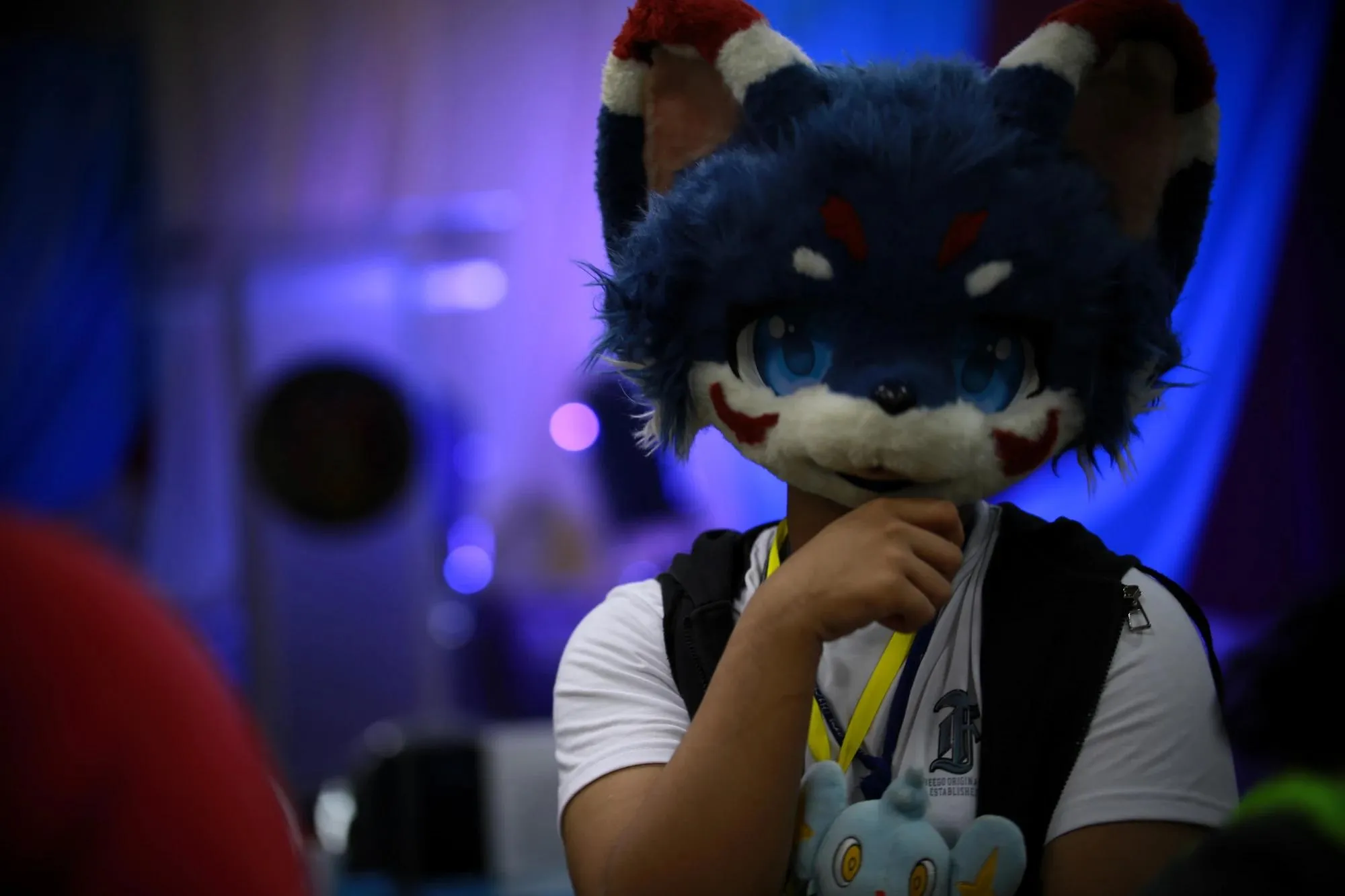 Southpaw Furry Weekend 2026 74