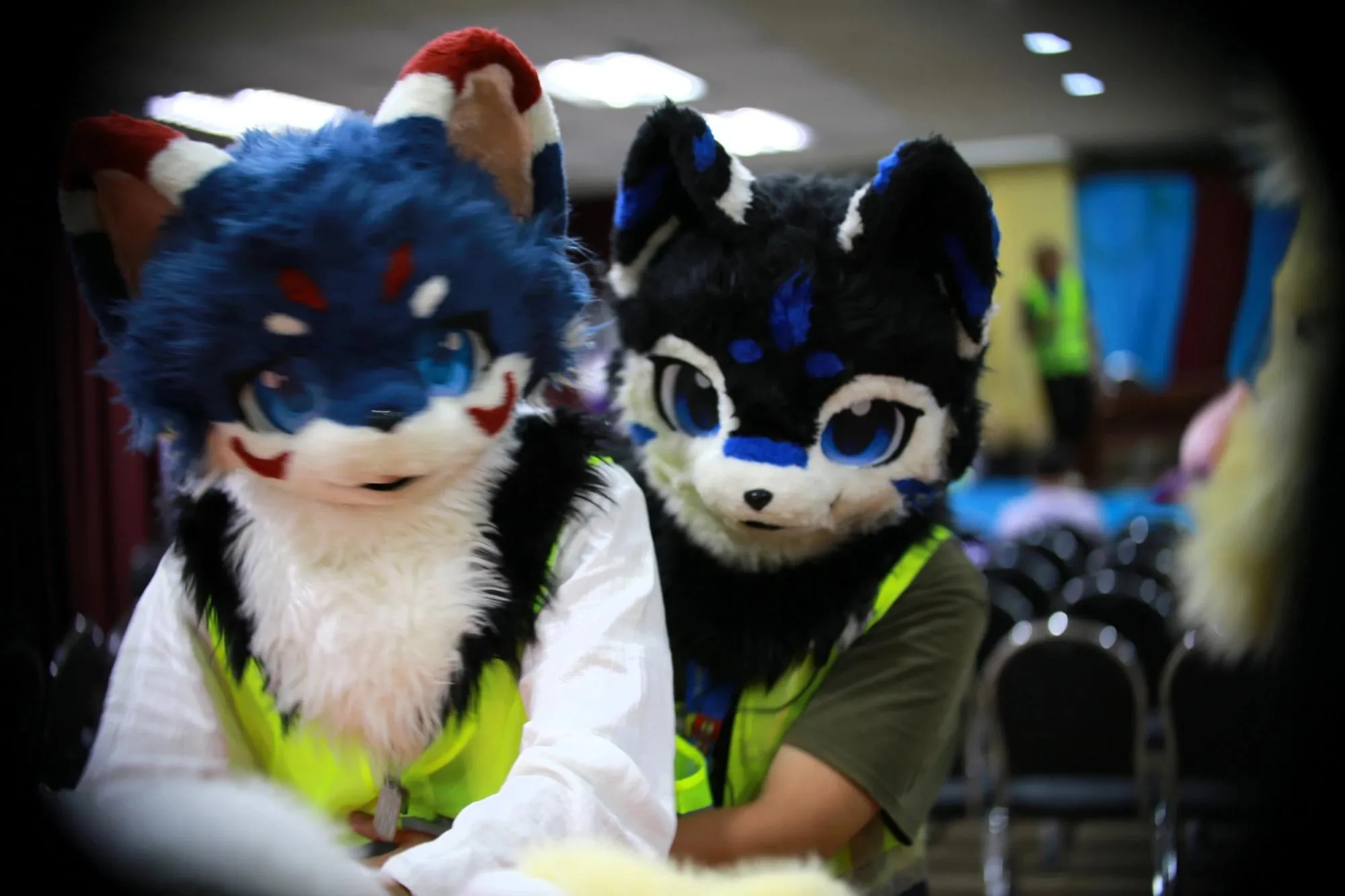 Southpaw Furry Weekend 2026 146