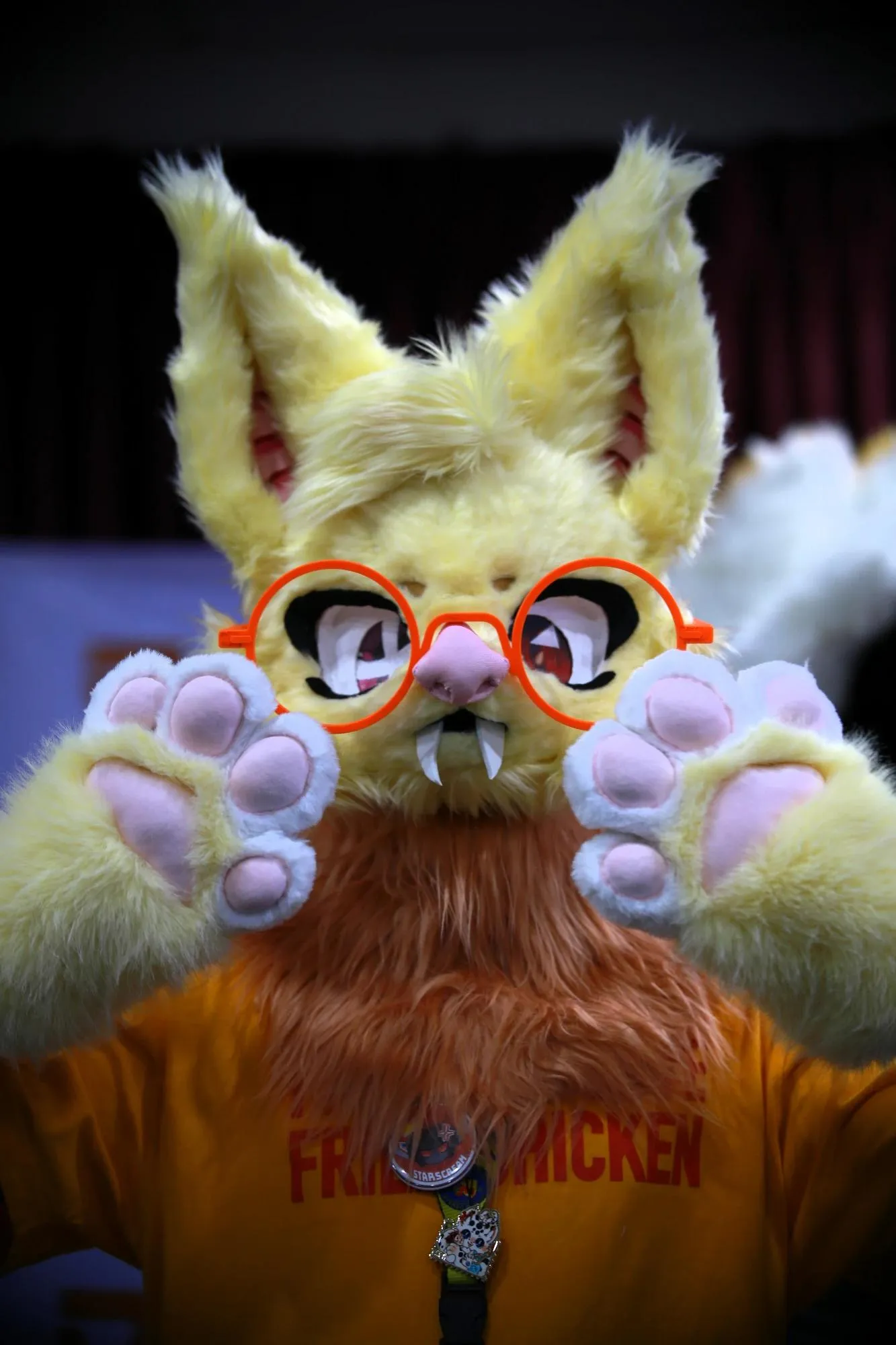 Southpaw Furry Weekend 2026 59