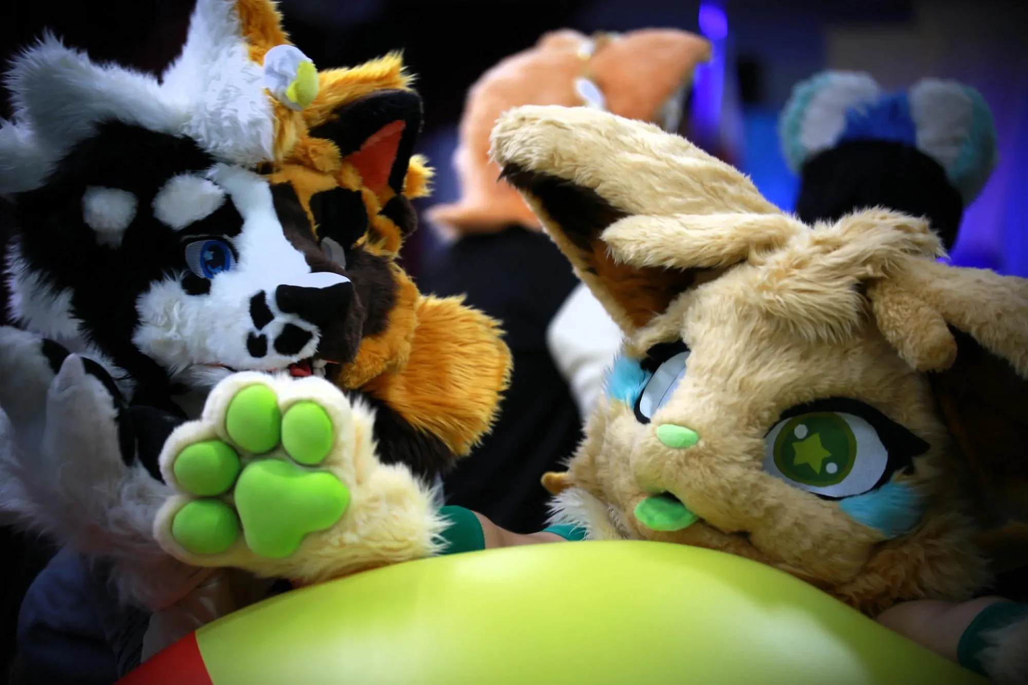 Southpaw Furry Weekend 2026 60