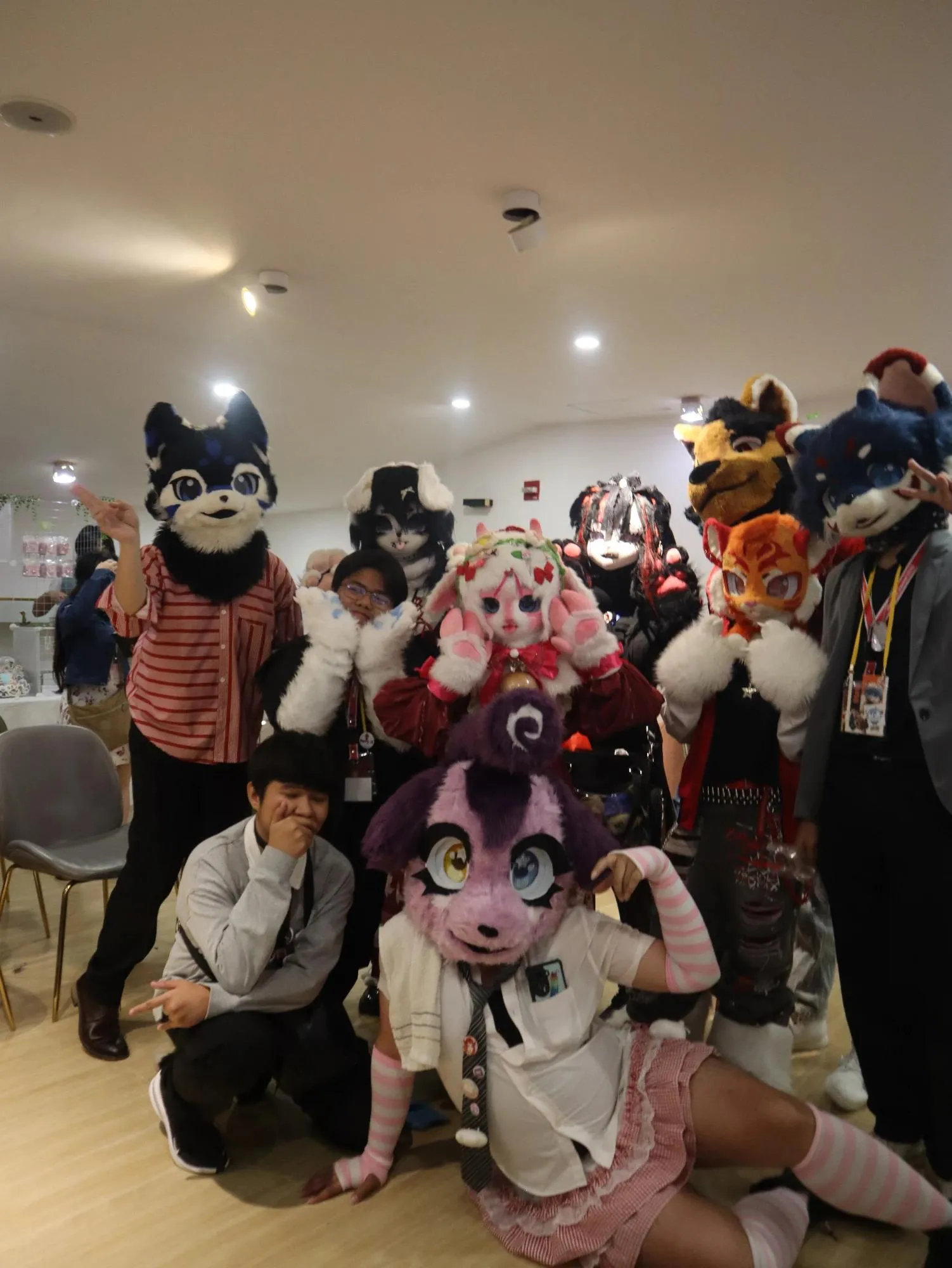 Heartbeat Furmeet: A Furry CSE 135