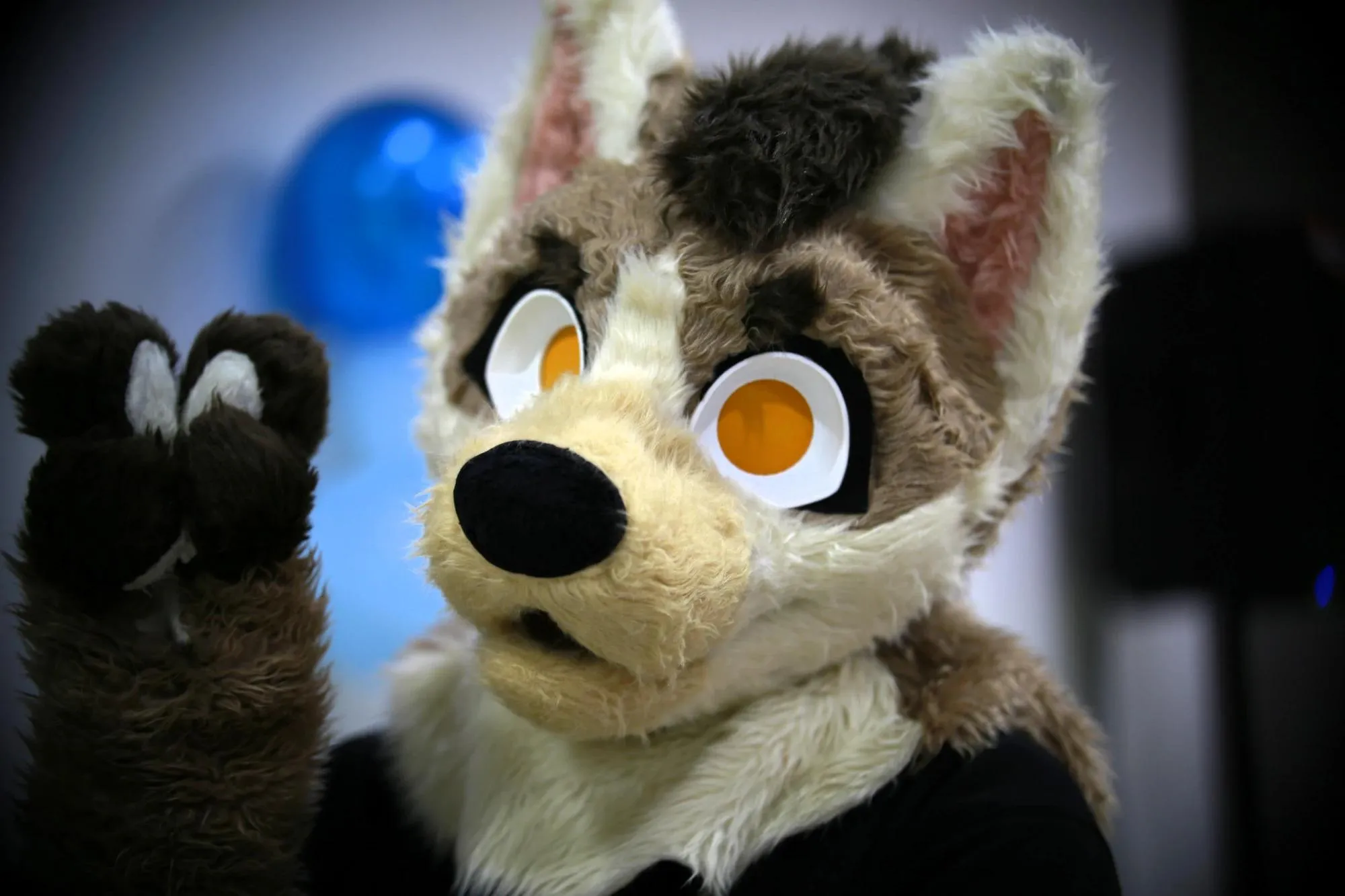 Southpaw Furry Weekend 2026 79