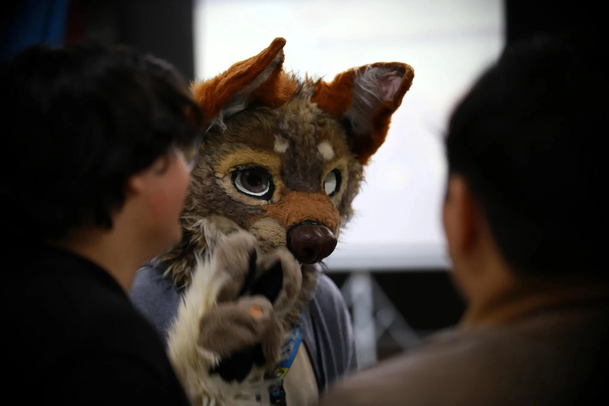 Southpaw Furry Weekend 2026 113
