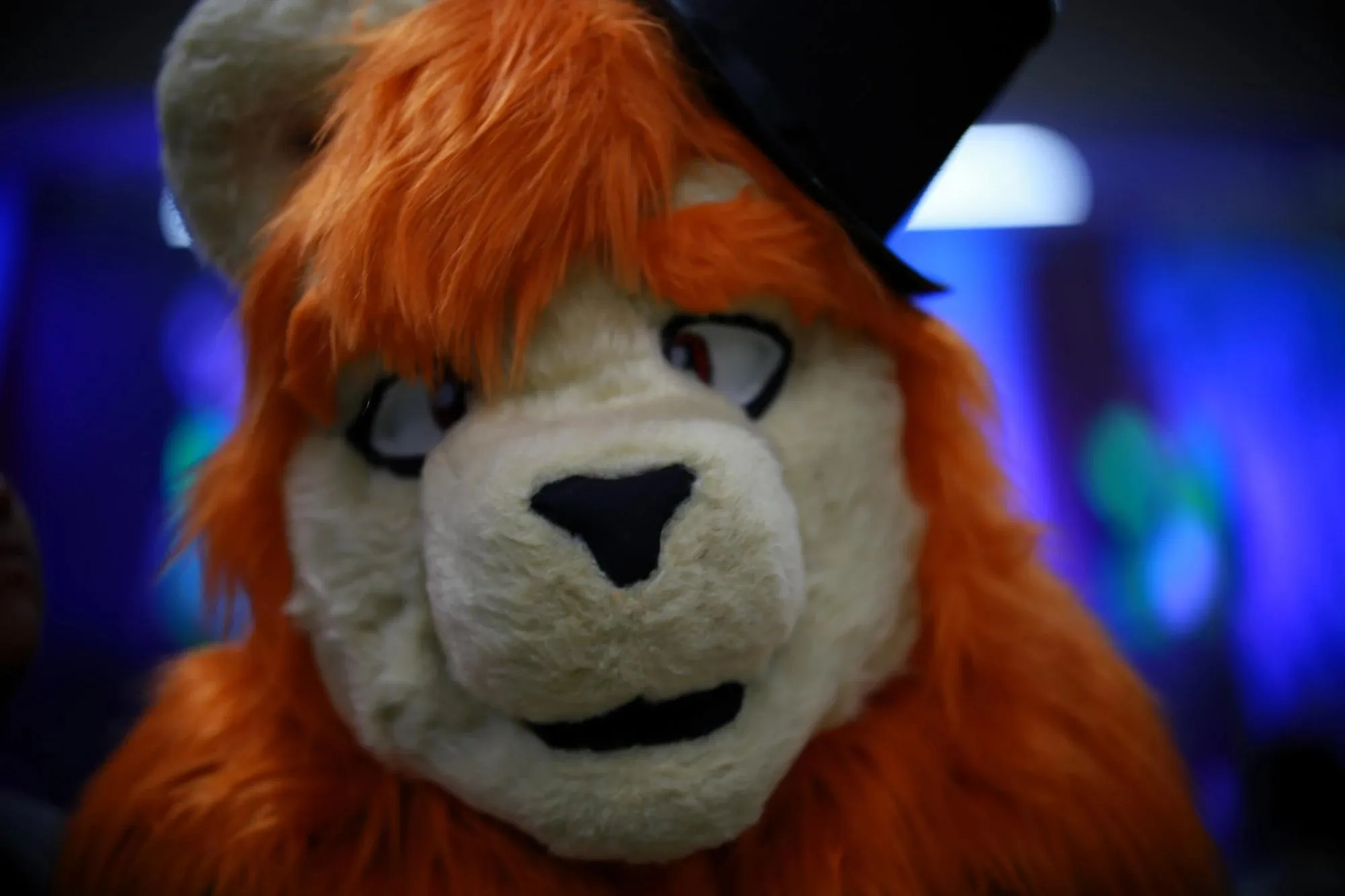Southpaw Furry Weekend 2026 29