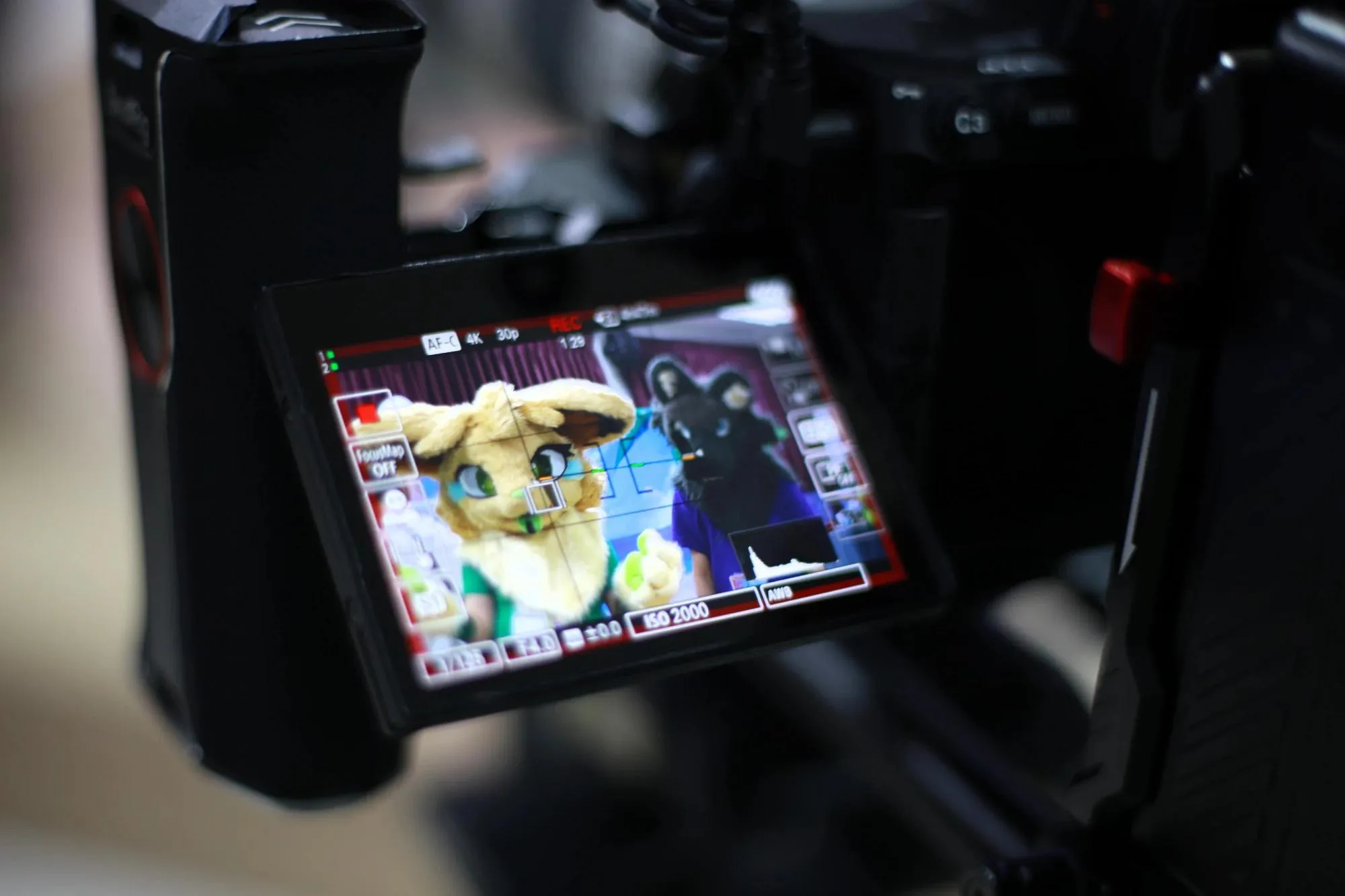 Southpaw Furry Weekend 2026 51