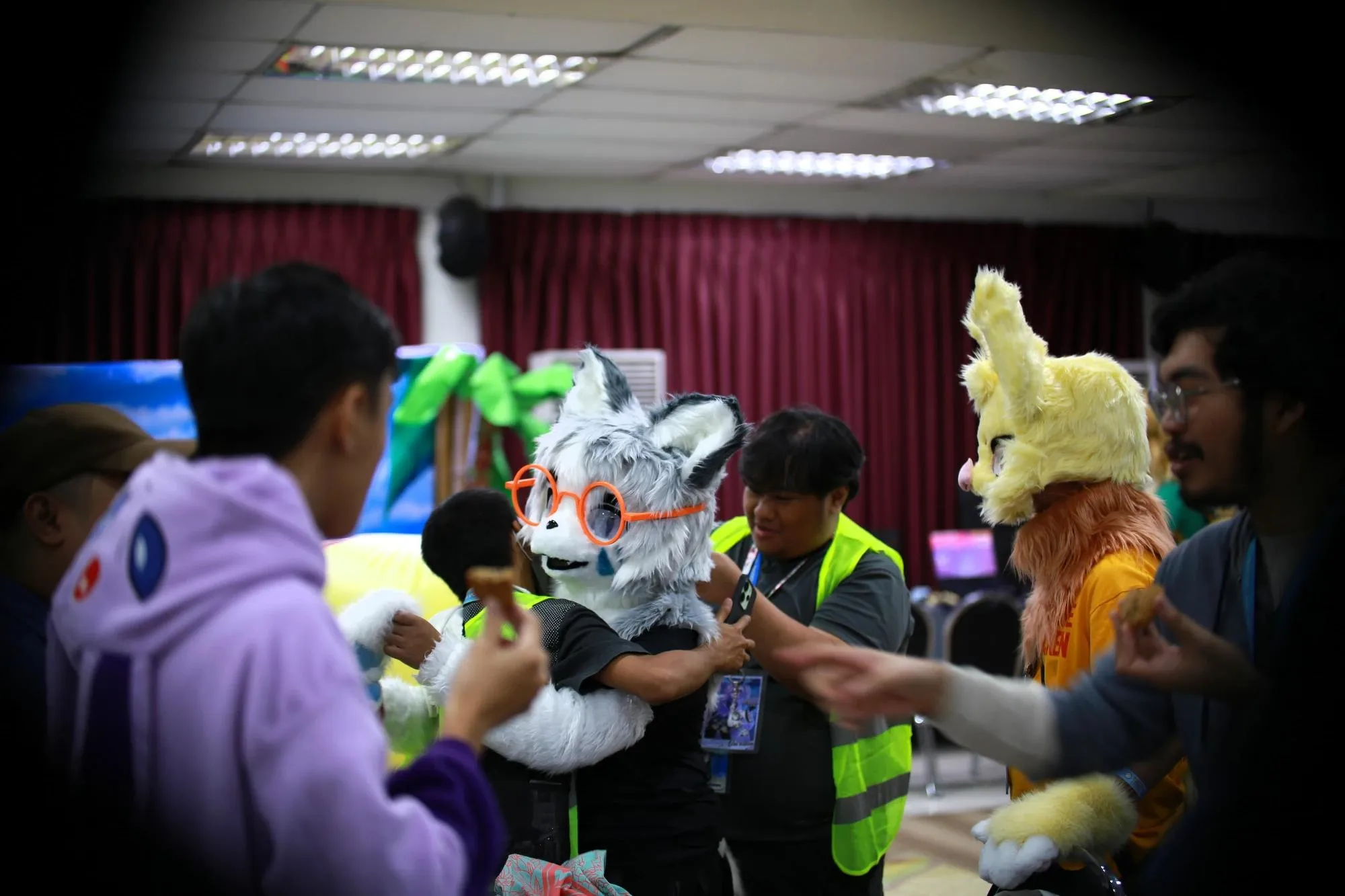 Southpaw Furry Weekend 2026 41