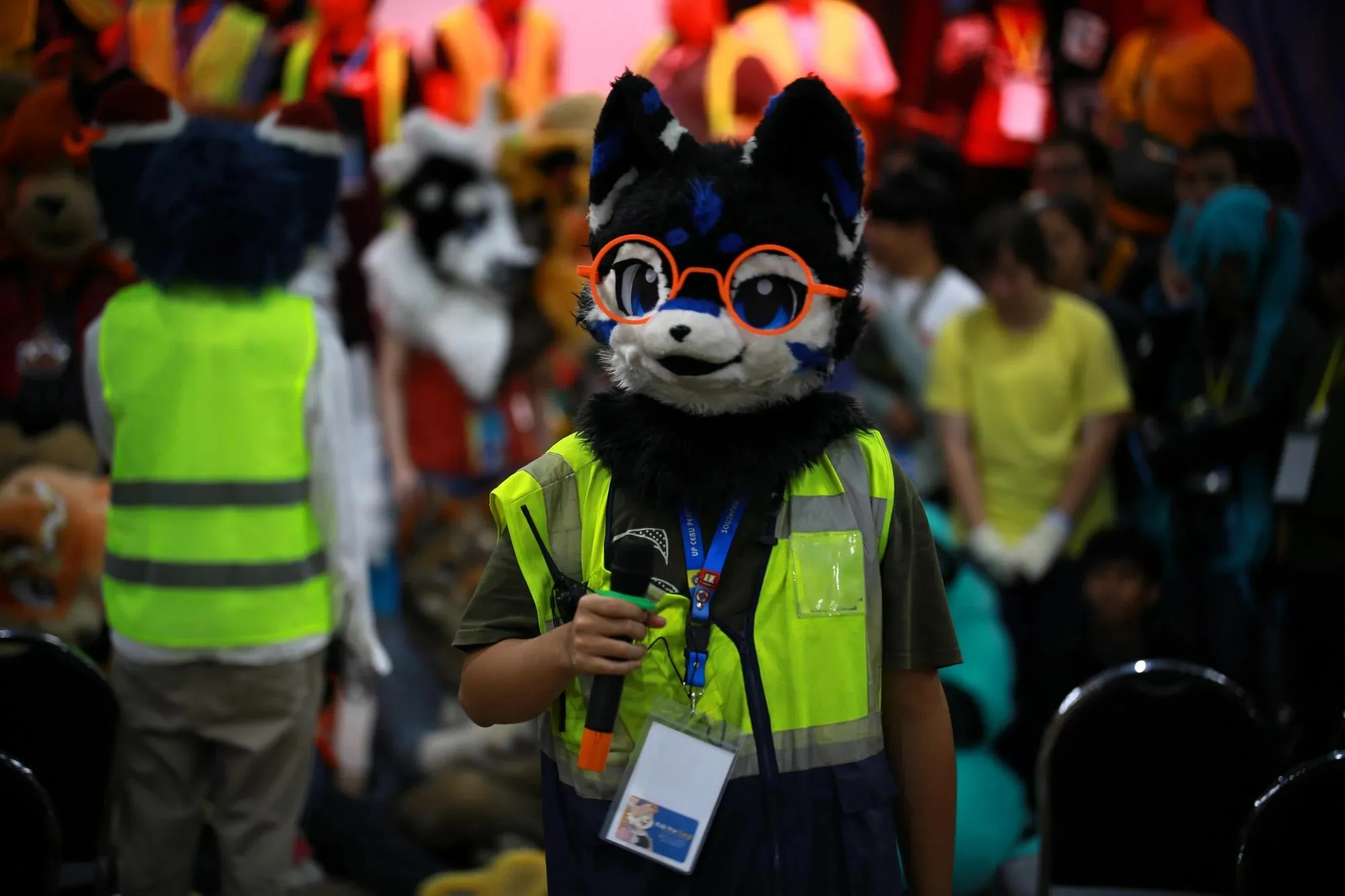 Southpaw Furry Weekend 2026 174