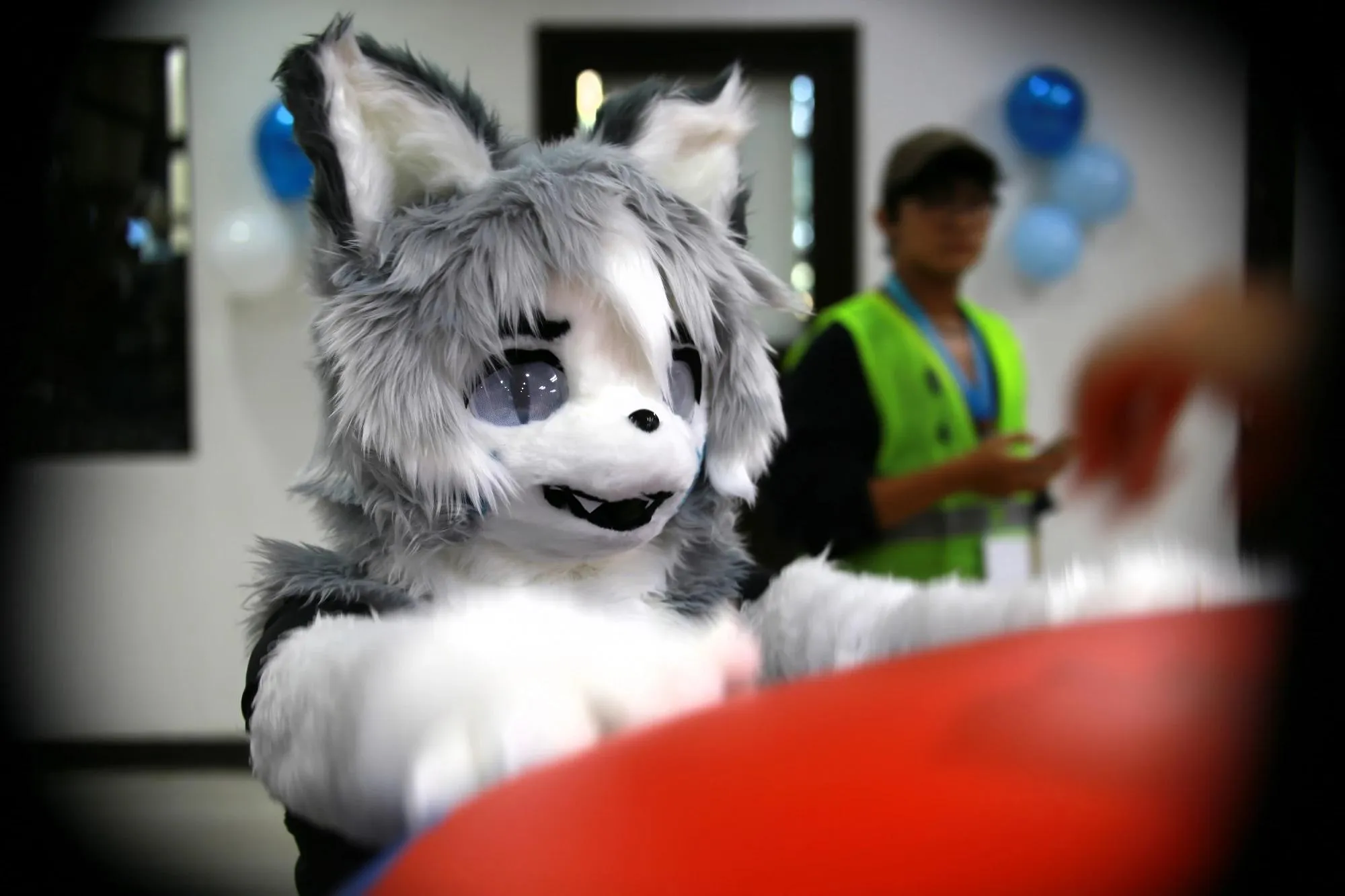 Southpaw Furry Weekend 2026 145
