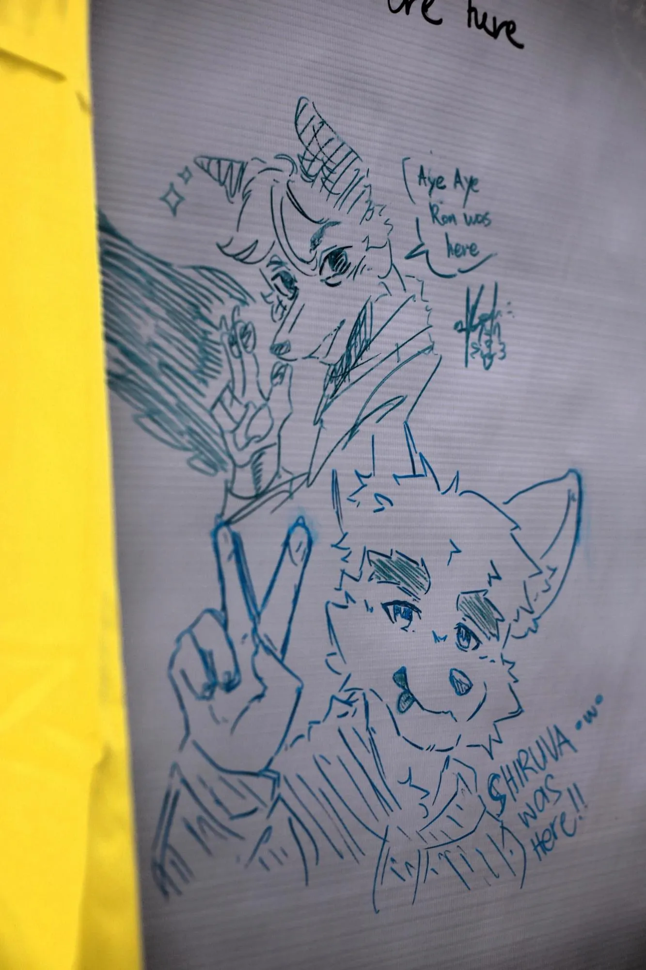 Southpaw Furry Weekend 2026 45