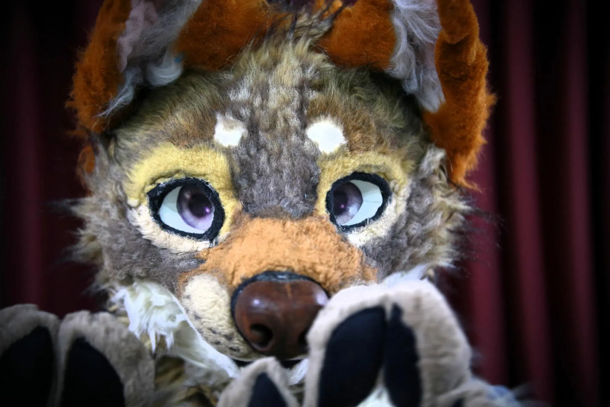 Southpaw Furry Weekend 2026 71