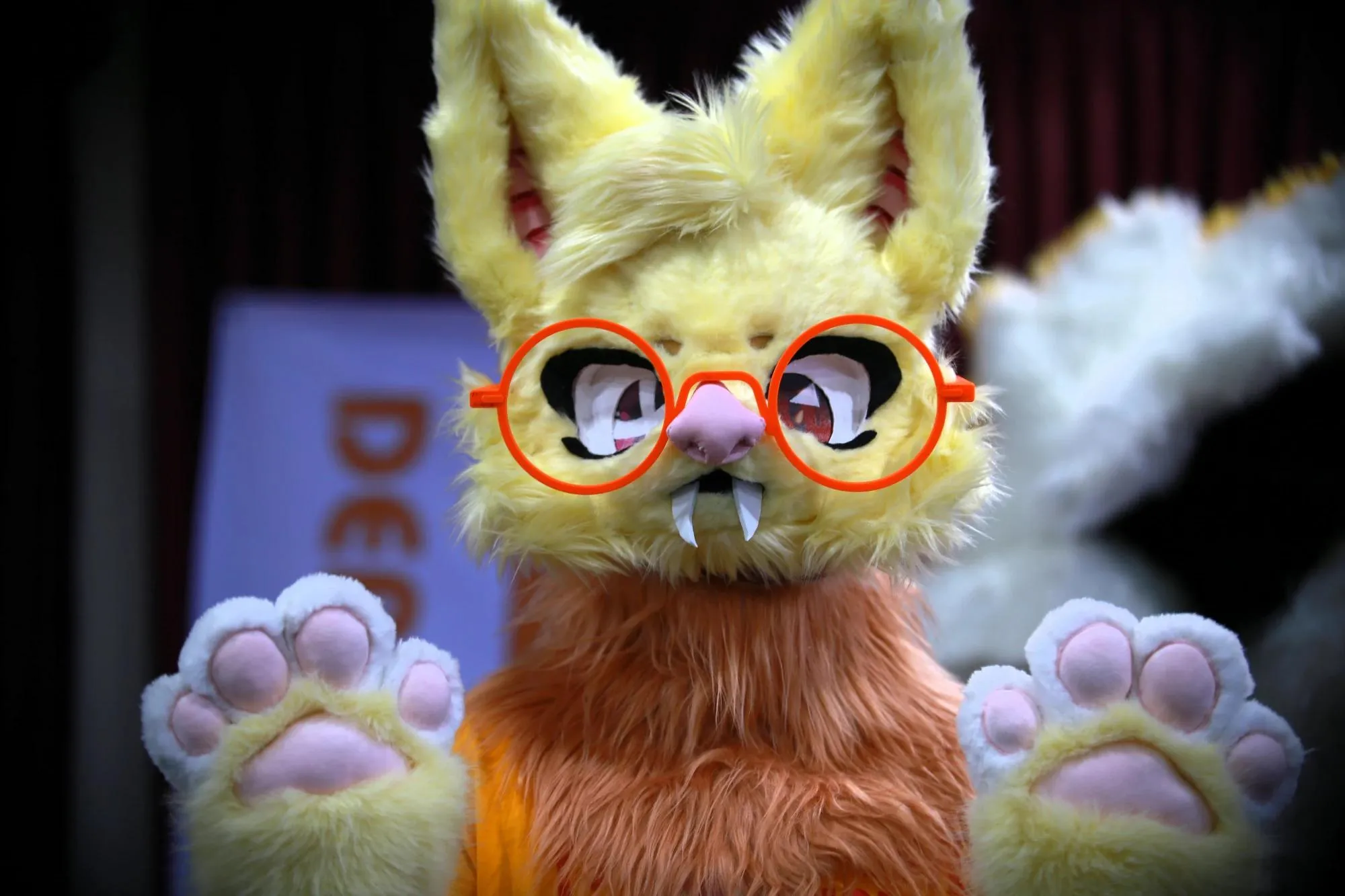Southpaw Furry Weekend 2026 58