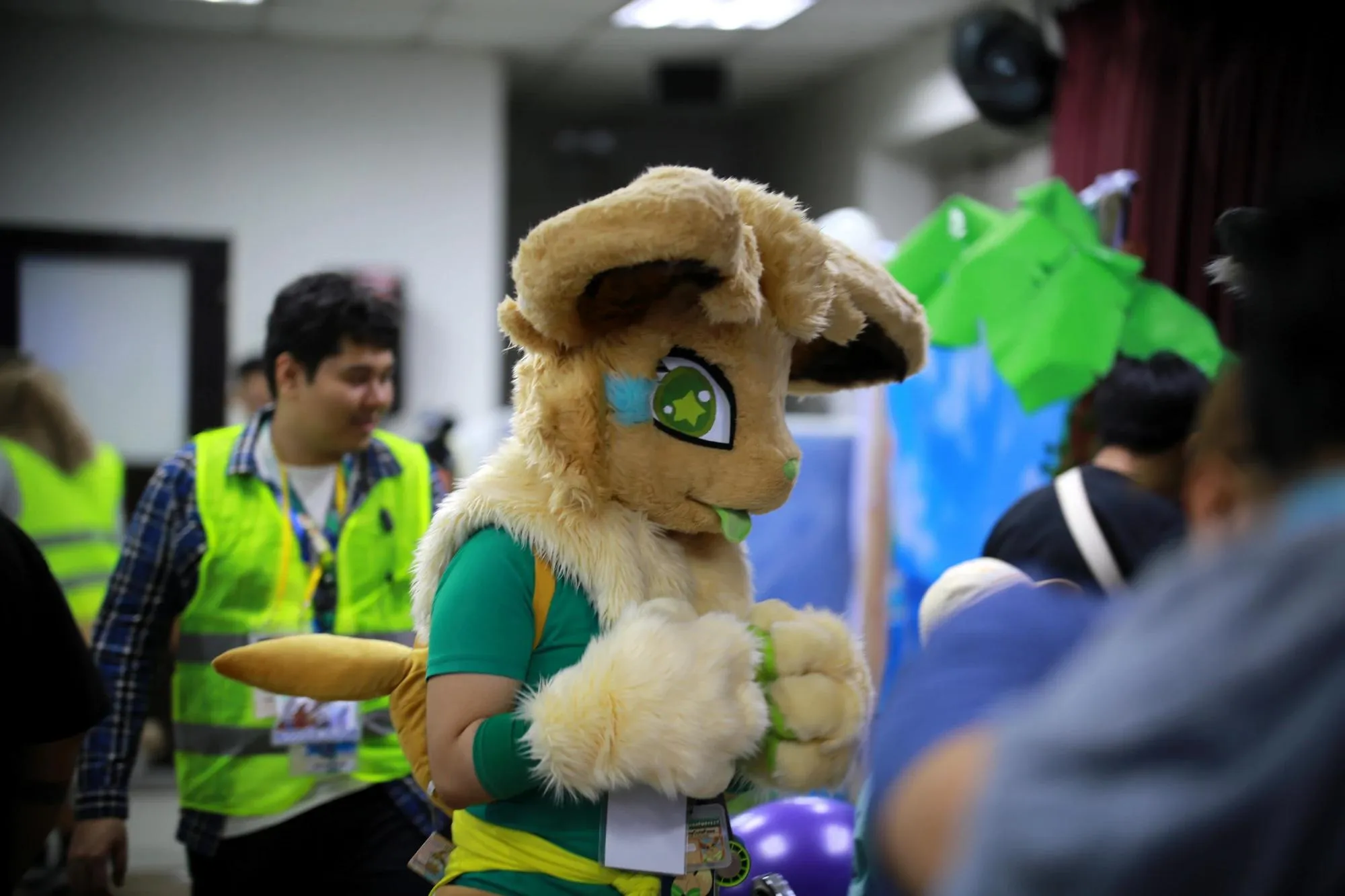Southpaw Furry Weekend 2026 18