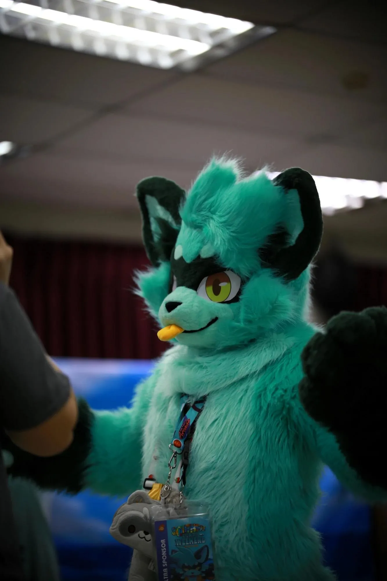 Southpaw Furry Weekend 2026 38