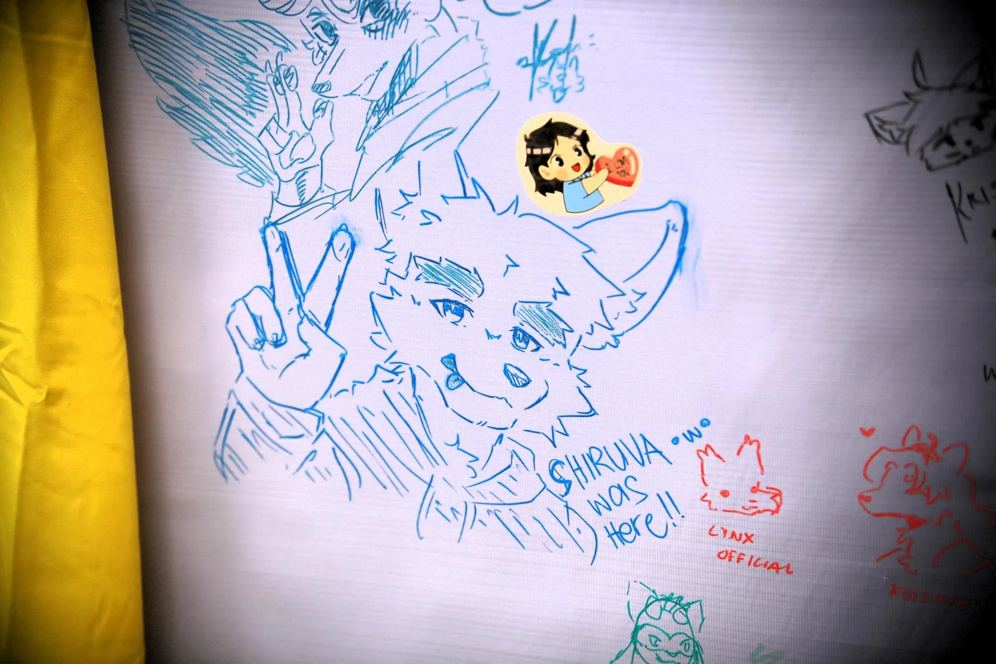 Southpaw Furry Weekend 2026 99