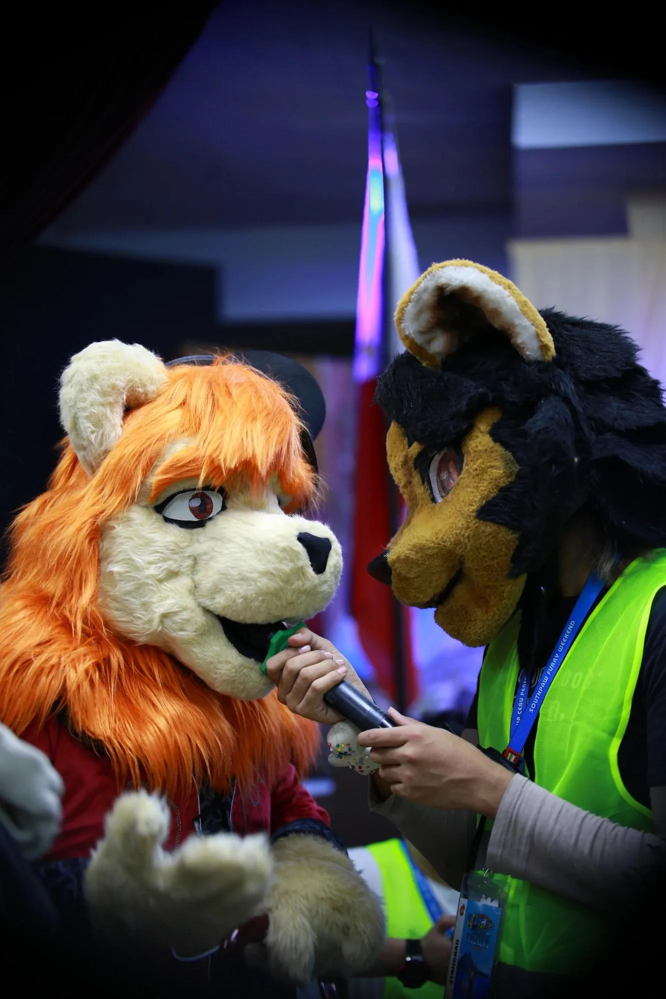 Southpaw Furry Weekend 2026 35