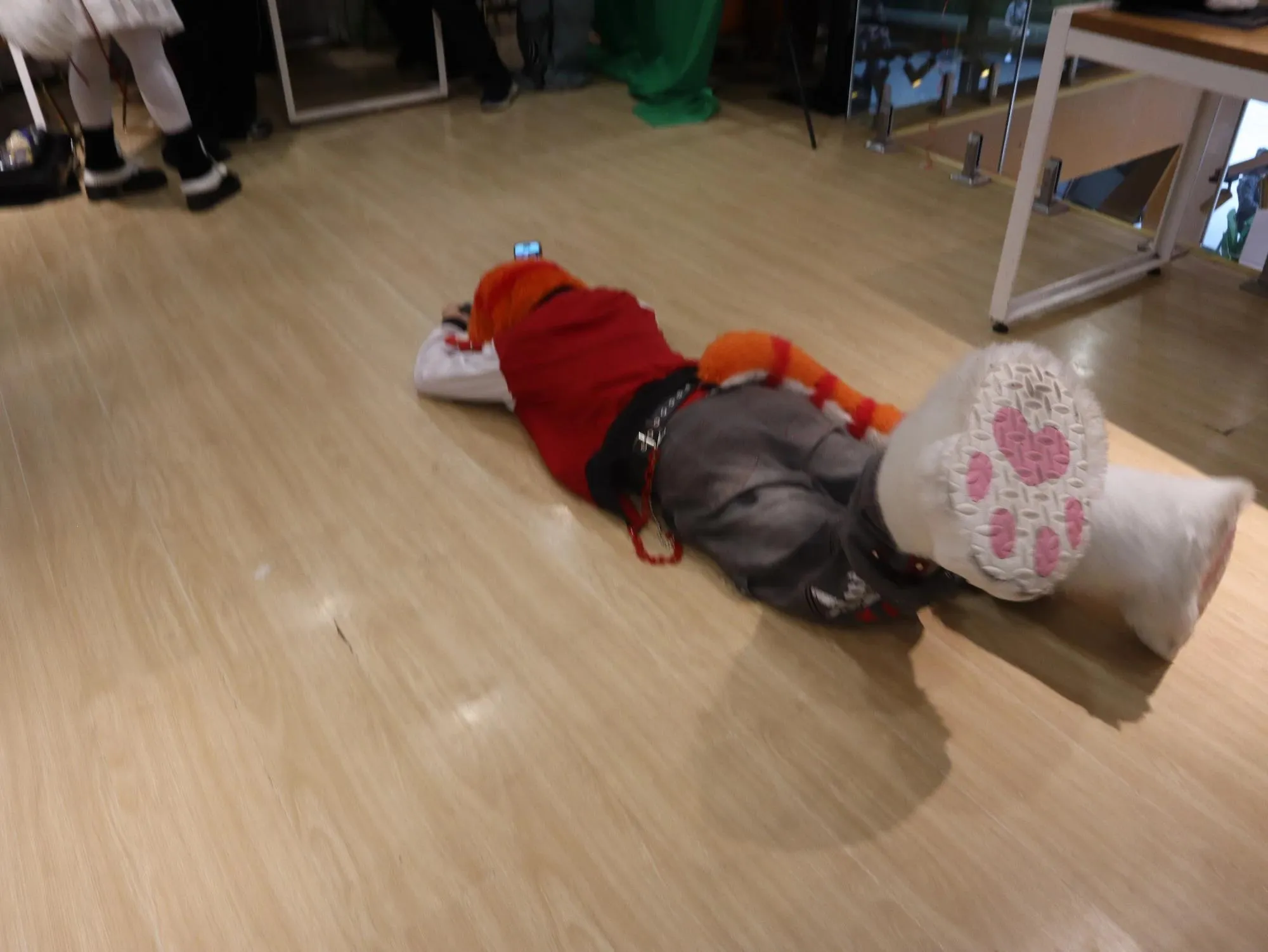 Heartbeat Furmeet: A Furry CSE 82