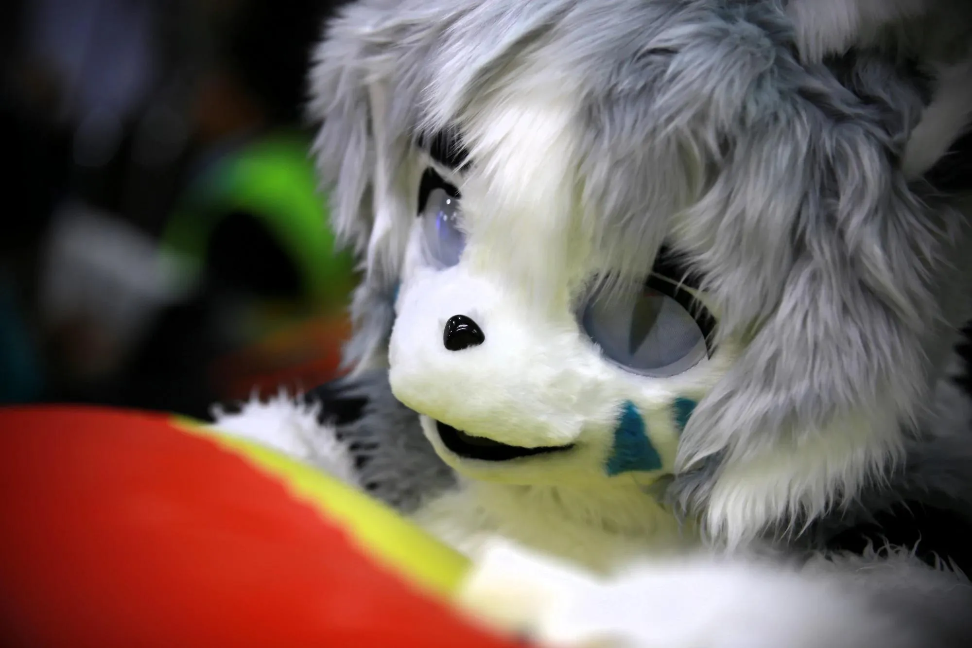 Southpaw Furry Weekend 2026 66