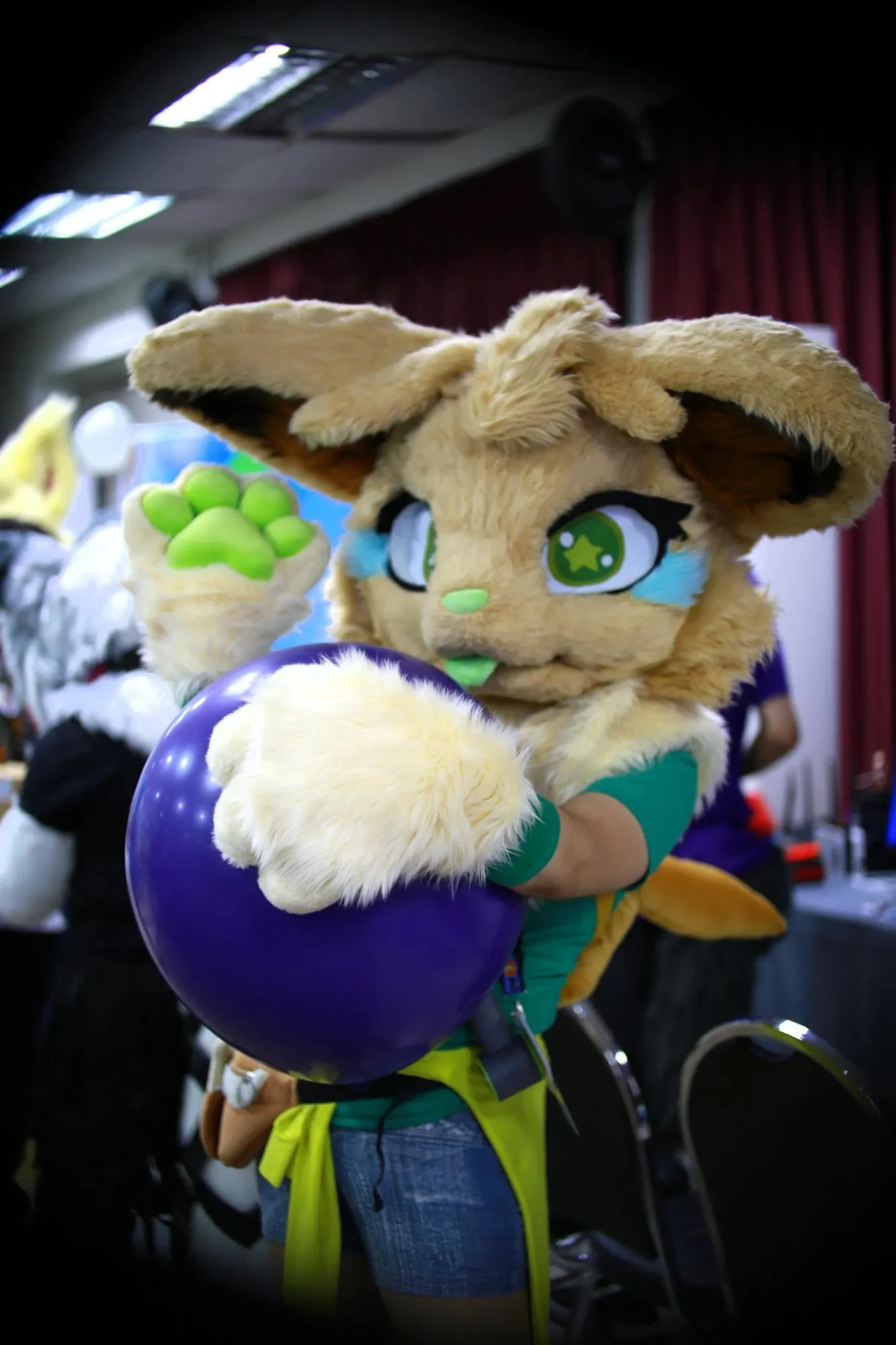 Southpaw Furry Weekend 2026 13