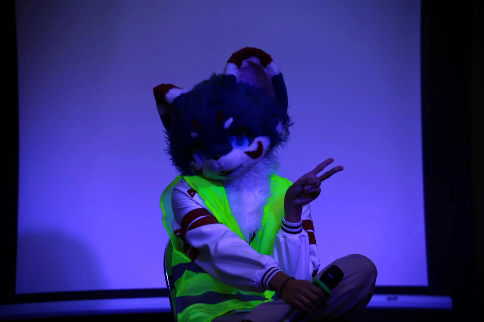 Southpaw Furry Weekend 2026 34
