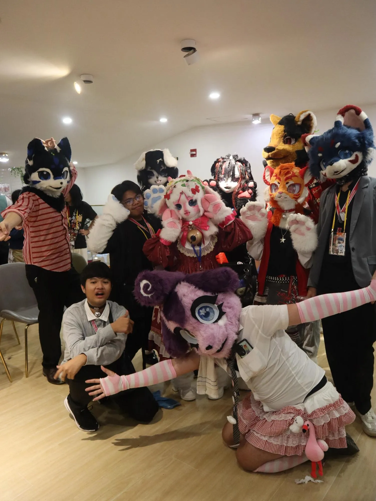 Heartbeat Furmeet: A Furry CSE 146