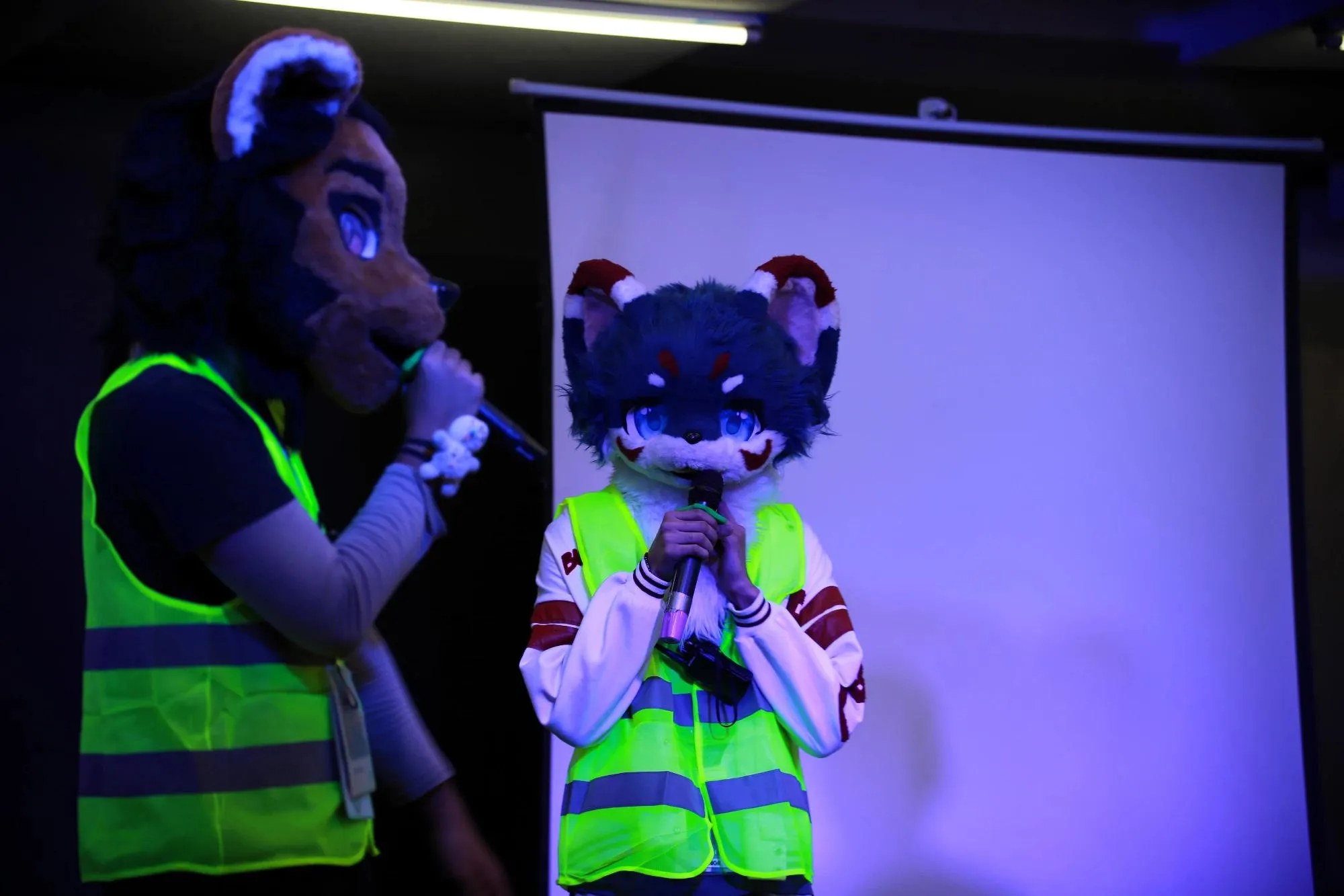Southpaw Furry Weekend 2026 19