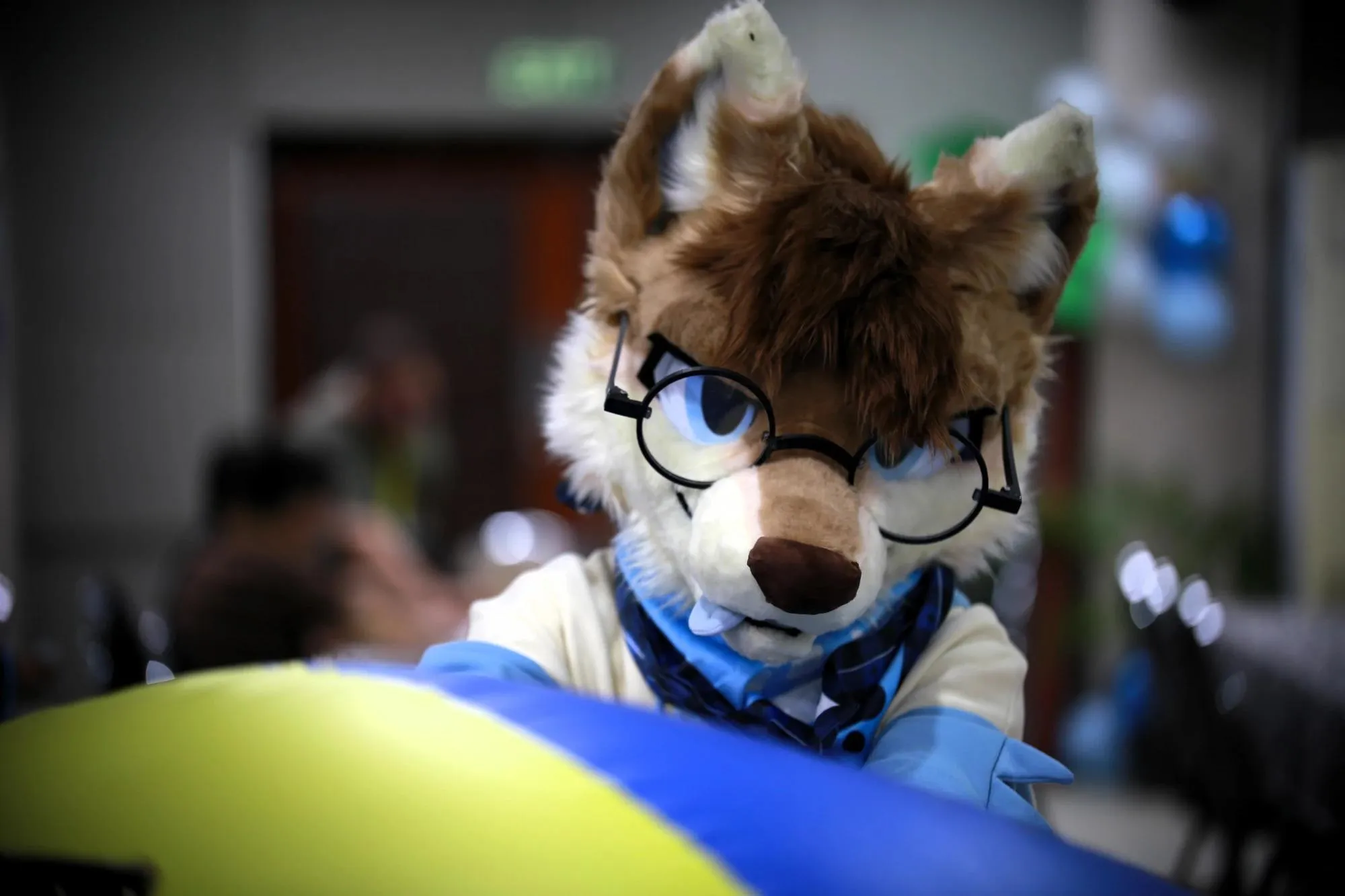 Southpaw Furry Weekend 2026 64